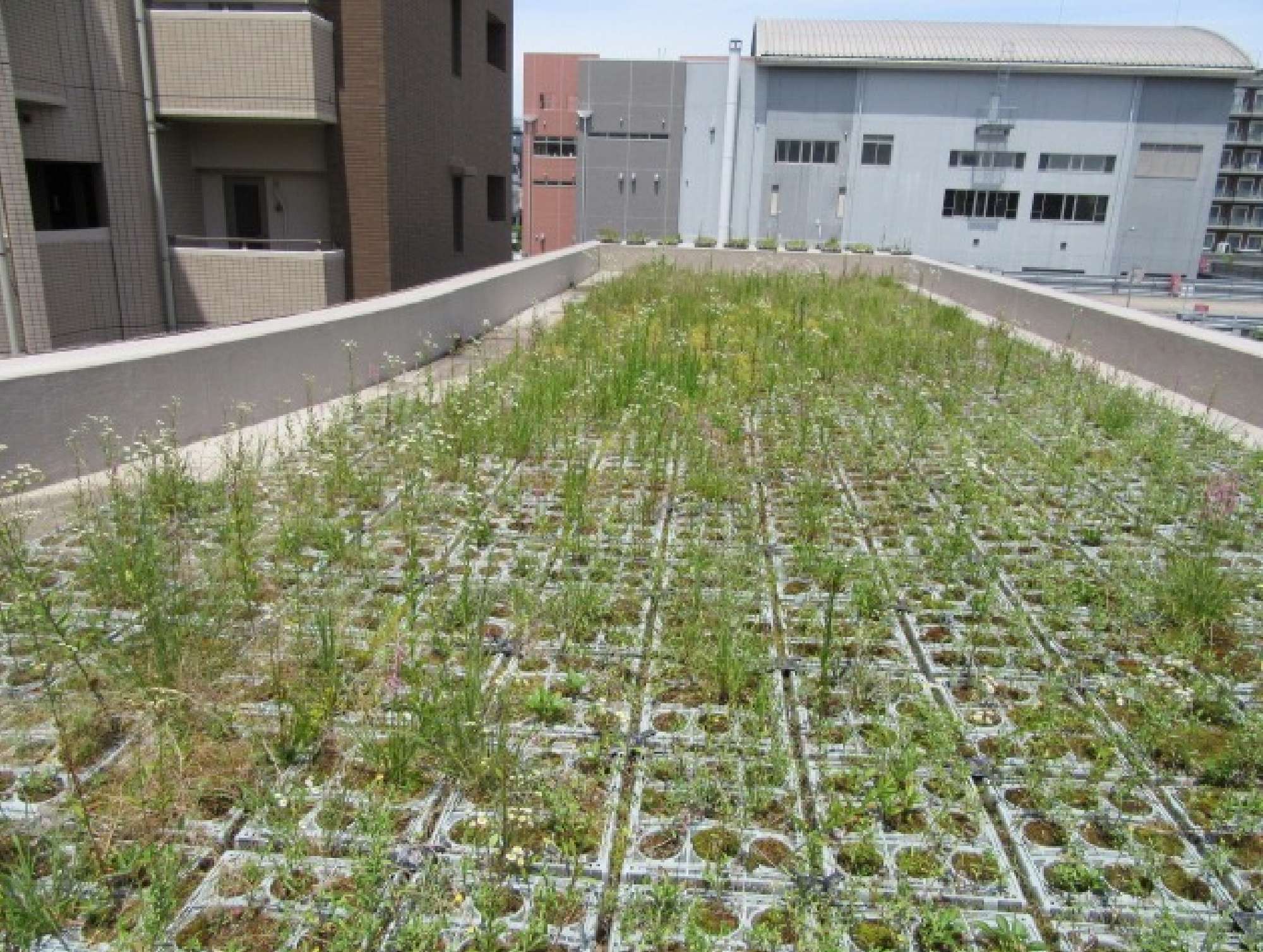 ライオンズガーデン千種アーススクエア 大規模修繕工事の着工前